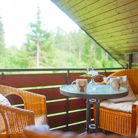 Black Forest Living Riverside Bis 10 Personen Appartement *