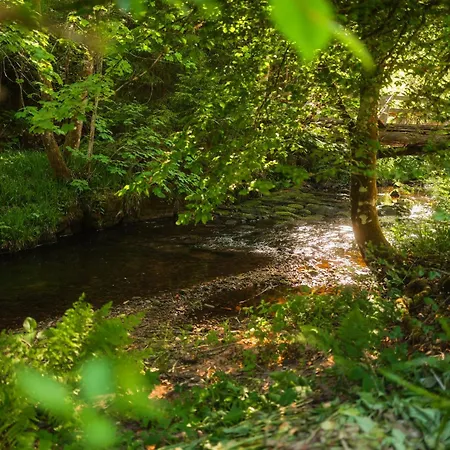 Black Forest Living Riverside Bis 10 Personen Freudenstadt