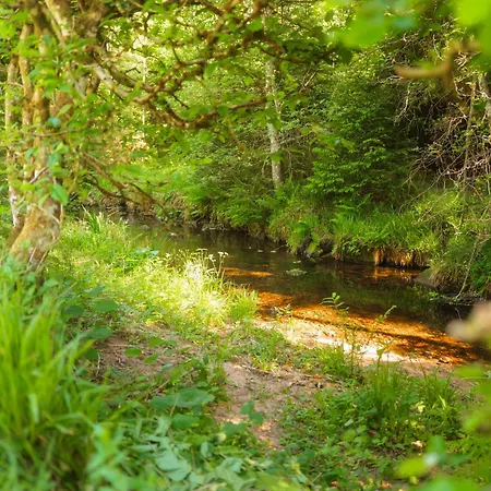 Black Forest Living Riverside Bis 10 Personen * Freudenstadt